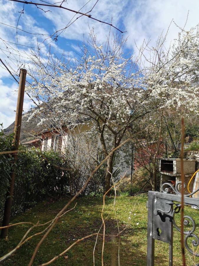 Casa Vista Lago E Giardino Porlezza Eksteriør billede